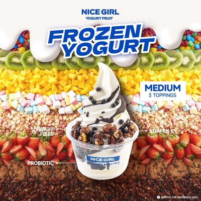 Buen precio Deliciosa heladería de yogur helado para Oriente Medio y el Sudeste Asiático en línea